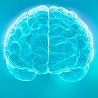 Autism Brain Mapping Center and neuroimaging in Autism