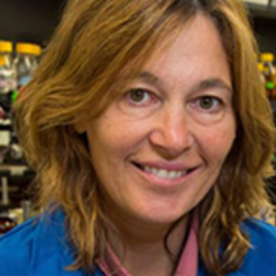 Carla Koehler, PhD - Mitochondria research scientist