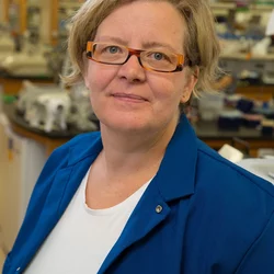 Kathrin Plath, PhD