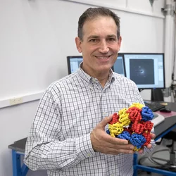 Todd Yeates, PhD