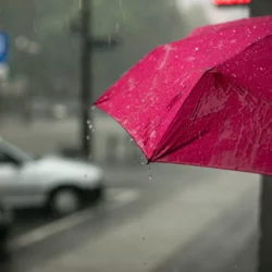 Heavy Winter Rains Related to Allergy Attacks Person Holding Umbrella