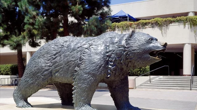 UCLA Bruin Bear