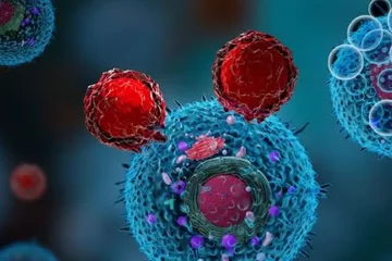 Cluster of cells