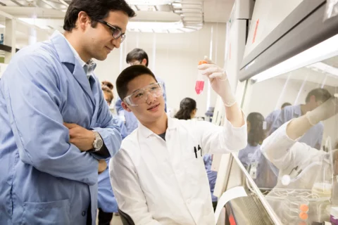 Medical school collaborators in a lab