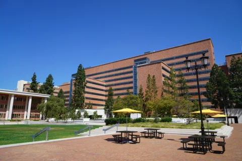 A view of the South Tower of CHS from Switzer Plaza