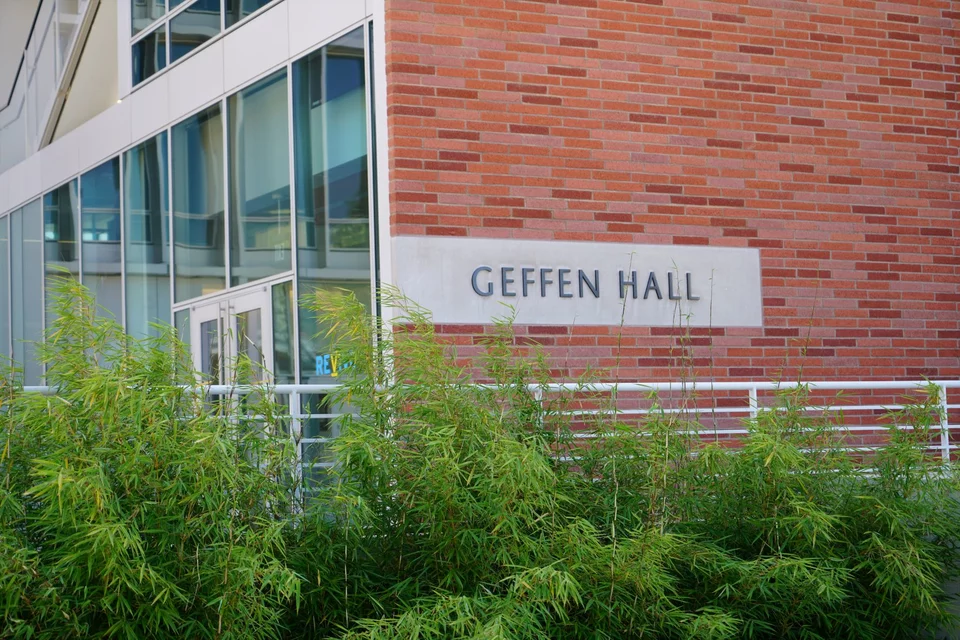 D. Geffen Hall
