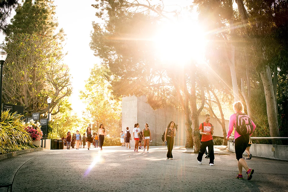 Sunny UCLA Medical School Campus