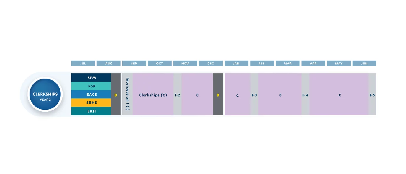 Heals curriculum year two timeline