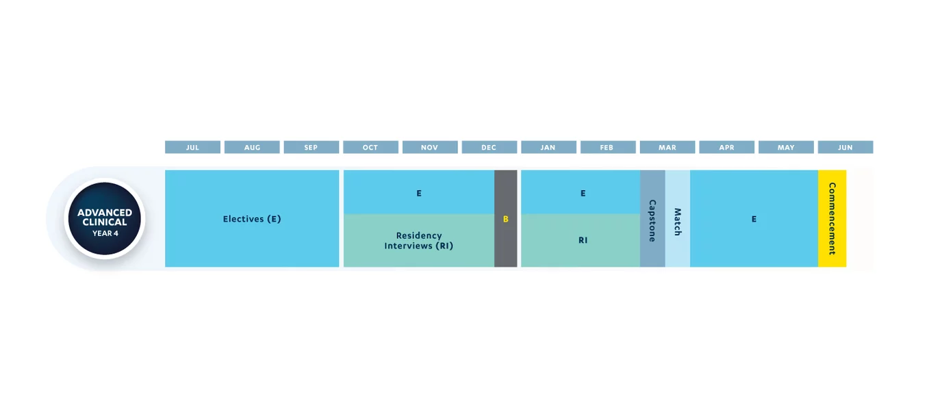 Heals Curriculum Year 4 timeline