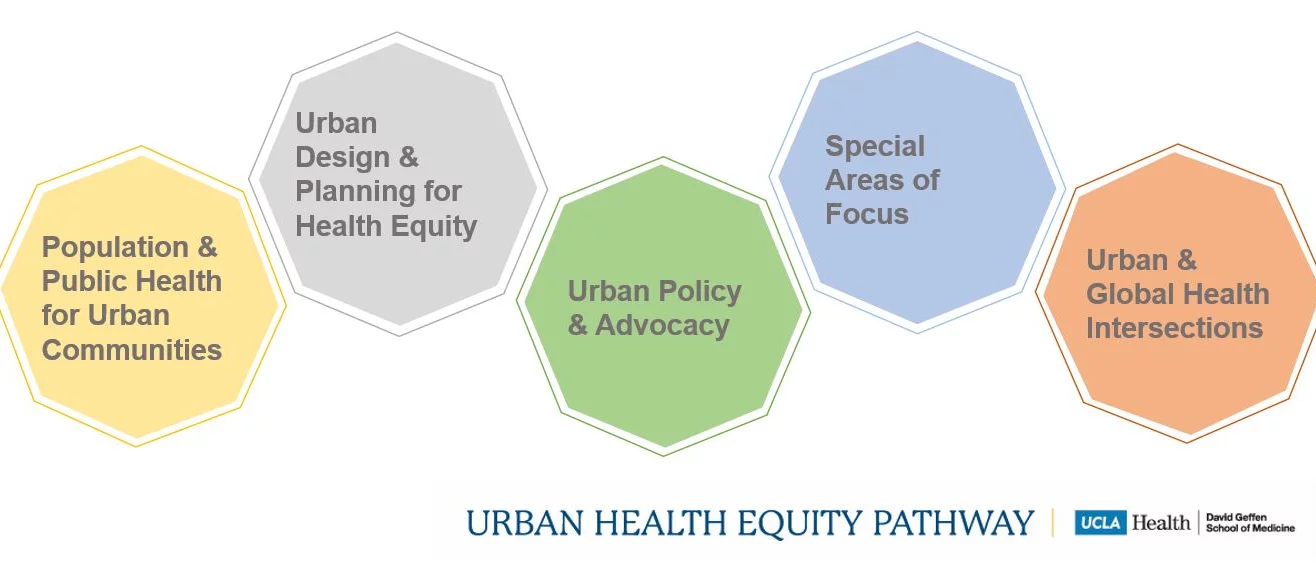 Urban Health Equity Pathway themes
